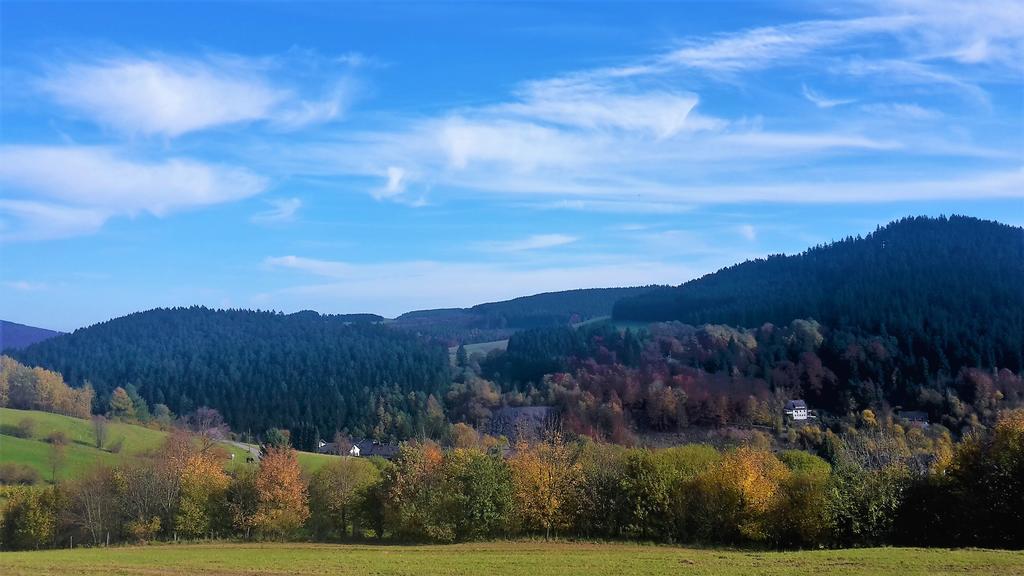Pension Haus Waldfrieden, Meinecardplus Inklusive Вилинген Екстериор снимка