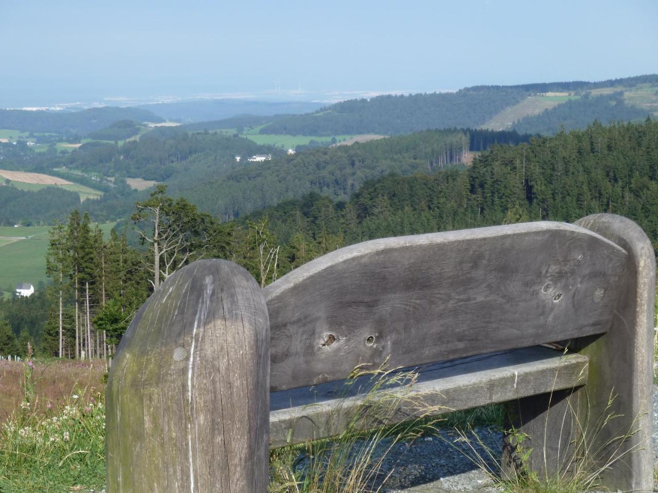 Pension Haus Waldfrieden, Meinecardplus Inklusive Вилинген Екстериор снимка