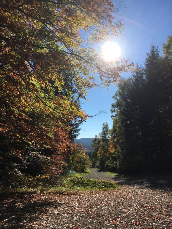 Pension Haus Waldfrieden, Meinecardplus Inklusive Вилинген Екстериор снимка